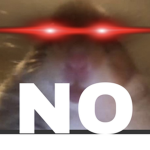 Random Meme Club For Memers