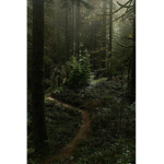 gaming in the woods