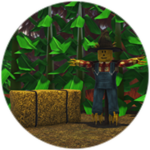 Corn Maze Winner