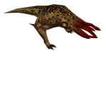 Bullsquid