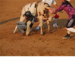 Rodeo fan group