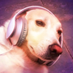 wonky's way cool [community]