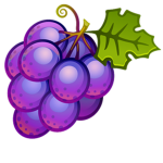 Sour Grapes (Yummy)