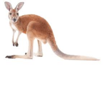 The Joey Friend Group
