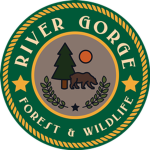 River Gorge Forest and Wildlife Service