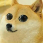 Just a Doge Group xD