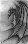 The Dragon Riders Guild