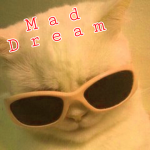 mad dream studio