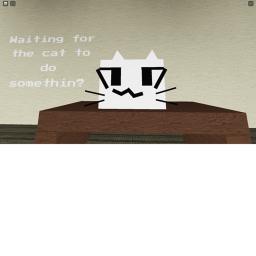 Stare at a cat in the backrooms