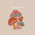 Team Chadison