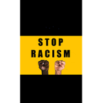 We should stop racial
