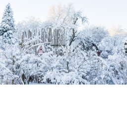Winterwonderland