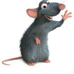 Rat chat!