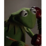 -Frog Group-