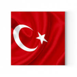 Turkish Roblox Group