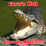Curta'n wall
