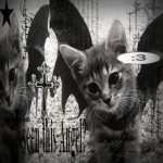 czj Group Thumbnail