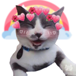 Gatitos Gamers nwn