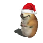 Santa Hat Chomik