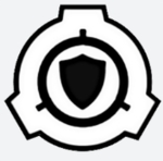 Vengeance Organization