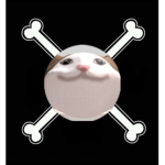 cat해적단