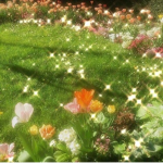 ahtIas