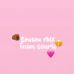 Team des souris