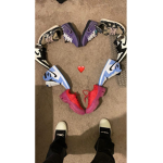 $W CARTI$