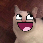 ECP (Epic Cat Group)