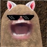 Bongocat_89 E