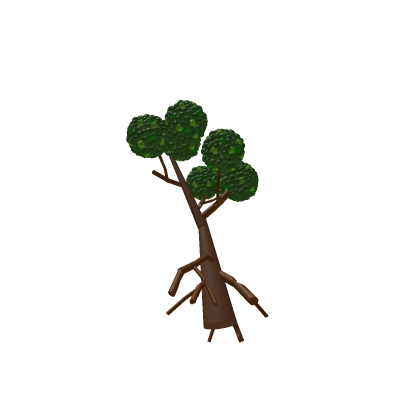 Mangrove Tree