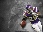 Adrain Peterson Fans