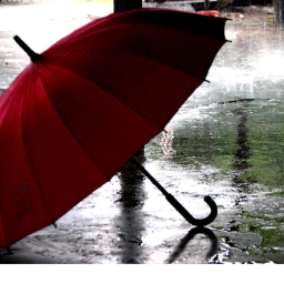 rain
