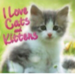miss u a lot