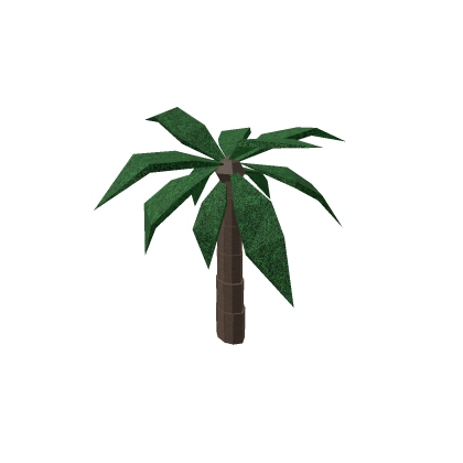 Palm Tree