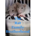 The Rat Family Brotherhood