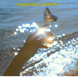 butterfliiess clothing