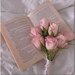 ⋆୨♡୧⋆