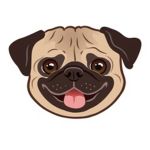 I love ma puggys