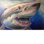THE BIG FAT SHARK :D