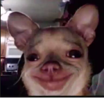 MemeMode