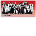 bleach the mighty soul reaper and head captains