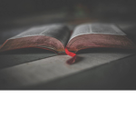 Booksareok