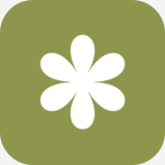 Orya Corporation