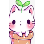 Kitties <3 :)