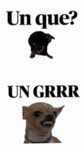 Grupo de cherrys de verdad