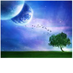 Dreamz Community