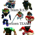 Team R-S-N