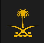 Arab Games Developer