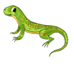 group of lizard